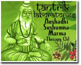 aushadhi sushumna marma therapy oil tantrik laboratories