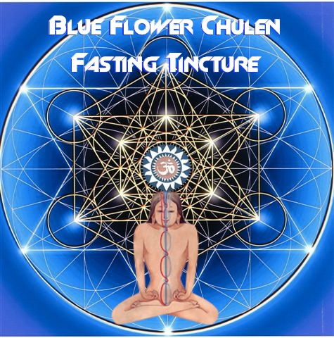 blue flower chulen fasting tincture tantrik laboratories
