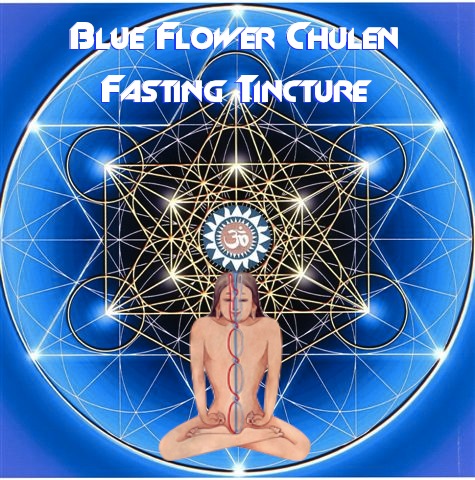 blue flower chulen fasting tincture tantrik laboratories