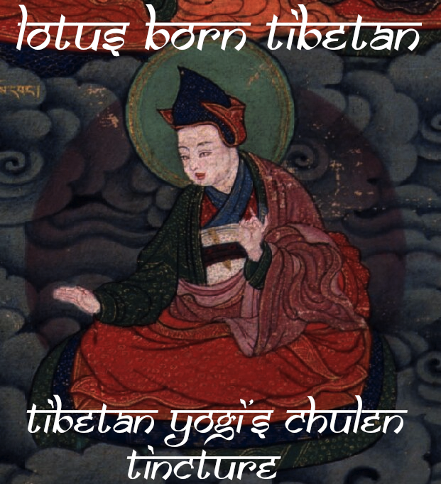 lotus born tibetan yogi's chulen tincture tantrik laboratories