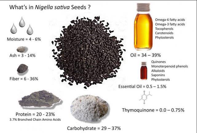 Kala jeera siddha navapashanam oil