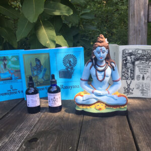 Special Offering: Handpainted Shiva Statue with Rasayana Herbal and Indo-European Fasting Monographs and Rasayana Ausadhi