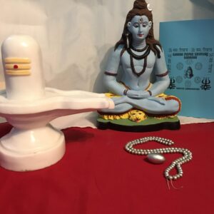 Special Offering! Siddha Purified Parad Lingam and Parad Mala Combination