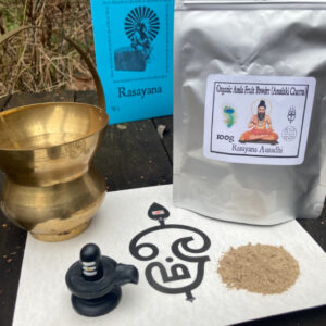 Organic Amla Fruit Powder (Phyllanthus emblica) Amalaki Churna (100g) Rasayana Ausadhi