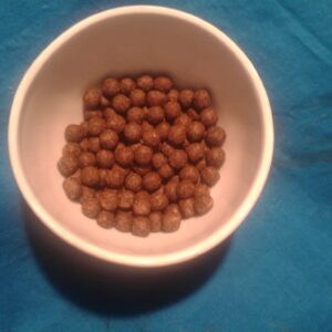 Prajna Pure Chagna Dorje Vajrapani Five Nectar Empowered Tantric Monestary Precious Pills