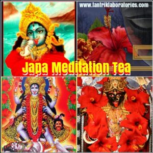 Japakusum, Gurhal (Japa) Organic Hibiscus rosa-sinensis (100g)