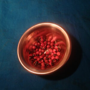 Chirmi seeds (Rakt Gunja)