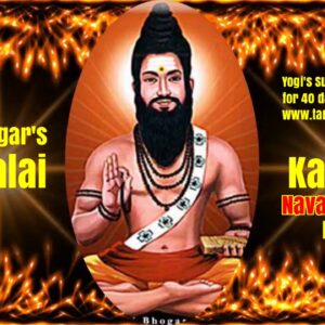 Siddha Bogar's Karisalai Karpam 4oz. Navapashanam Honey