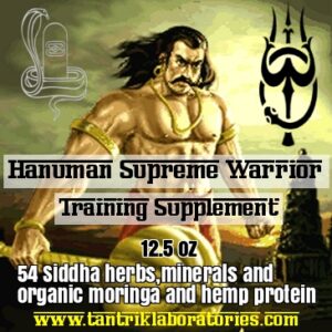 Hanuman Supreme Warrior Training Supplement (12.5oz)