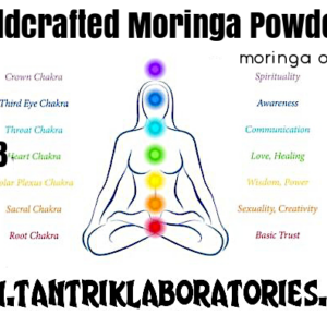 Wildcrafted Moringa Powder (1LB) Moringa oleifera