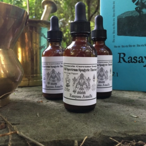 Erode Turmeric with Long Pepper (Pippali) Full Spectrum Spagyric Tincture (2oz) Rasayana Ausadhi (Curcuma longa)